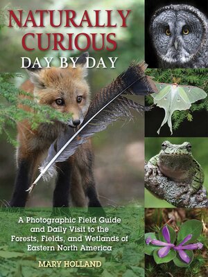 cover image of Naturally Curious Day by Day